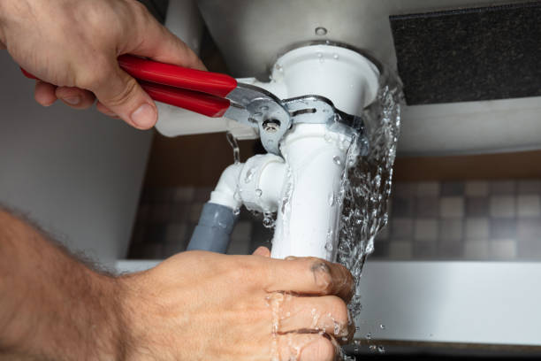 Best Professional water damage repair  in Oceana, WV