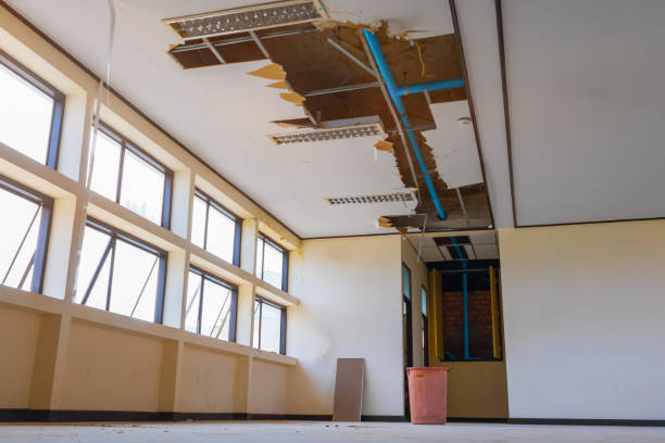 Best Emergency water damage restoration  in Oceana, WV