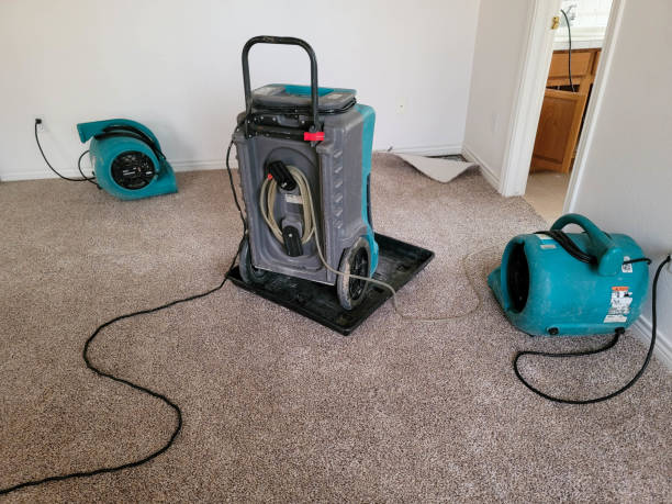 Best Fire Damage Restoration  in Oceana, WV