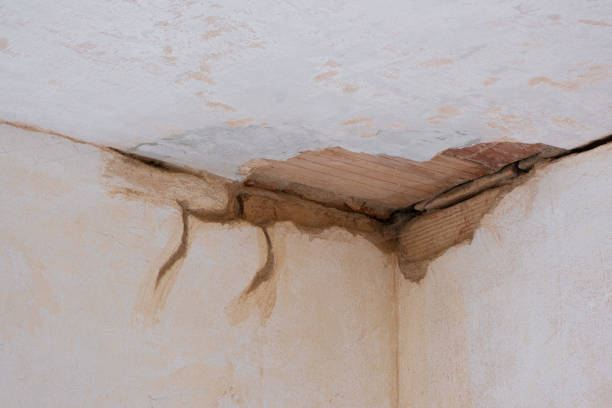 Best Water damage cleanup near me  in Oceana, WV