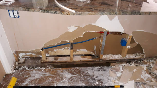 Best 24/7 water damage repair  in Oceana, WV