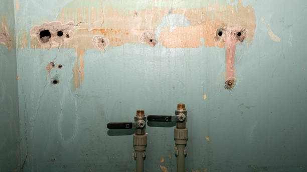 Trusted Oceana, WV Water damage restoration Experts