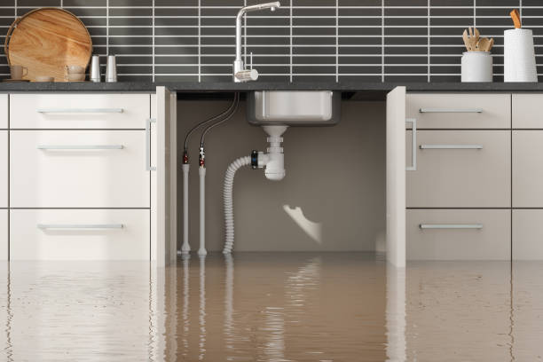 Best Ceiling water damage repair  in Oceana, WV