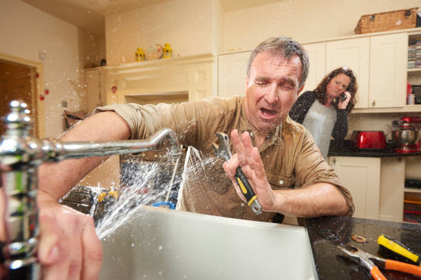Best Local water damage restoration  in Oceana, WV